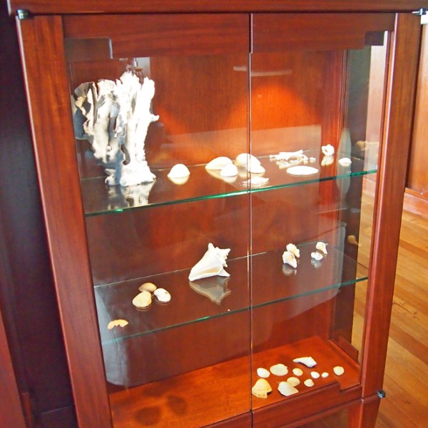 shell display cabinet